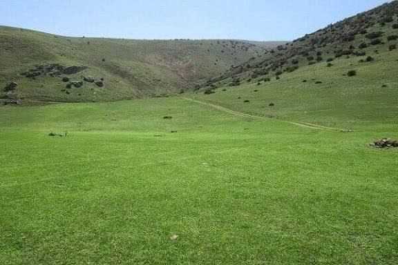 نجات طبیعت در مازندران / مراتع "لاور" دوباره سبز شد